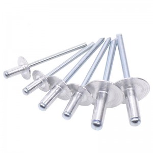 Rivet bolts Large Flange Blind Rivet