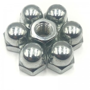 High Strength Grade 4 8 10 12 Steel Galvanized Blue White Zinc Plated DIN1587 Cap Nuts