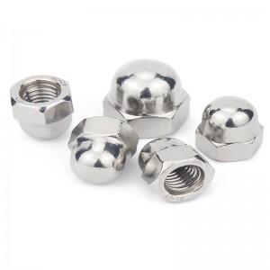 Stainless Steel A2-70 A4-80 SS201 SS304 SS316 DIN1587 Cap Nuts