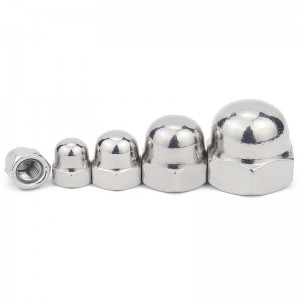 Stainless Steel A2-70 A4-80 SS201 SS304 SS316 DIN1587 Cap Nuts