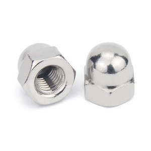 Stainless Steel A2-70 A4-80 SS201 SS304 SS316 DIN1587 Cap Nuts