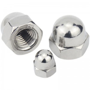 Stainless Steel A2-70 A4-80 SS201 SS304 SS316 DIN1587 Cap Nuts