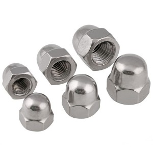Stainless Steel A2-70 A4-80 SS201 SS304 SS316 DIN1587 Cap Nuts