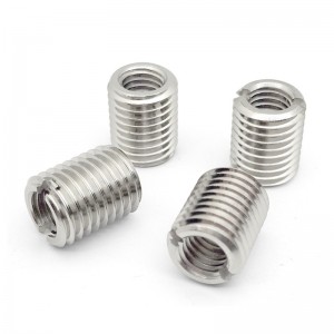 Stainless Steel A2-70 A4-80 SS201 SS304 SS316 Insert Nuts