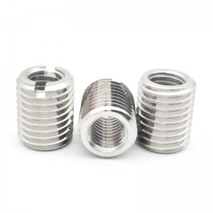 Stainless Steel A2-70 A4-80 SS201 SS304 SS316 Insert Nuts