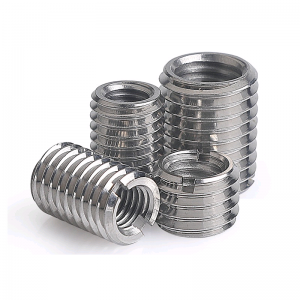 Stainless Steel A2-70 A4-80 SS201 SS304 SS316 Insert Nuts