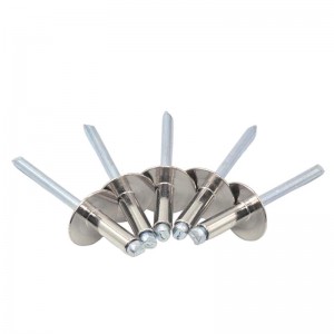 Rivet bolts Large Flange Blind Rivet