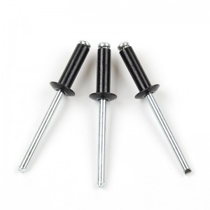 Rivet bolts Φ2.4-Φ5 Blind rivet bolts Black paint head