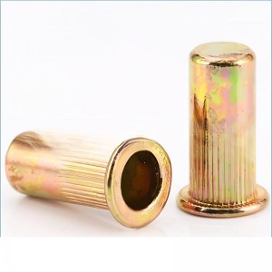 Rivet Nuts Closed End