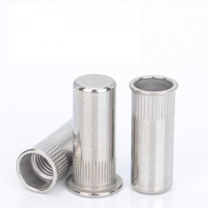 Rivet Nuts Closed End