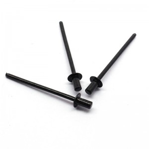 Rivet bolts Φ3.2-Φ6.4 Closed-end flat round head blind rivets iron black