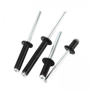 Rivet bolts Φ2.4-Φ5 Blind rivet bolts Black paint head