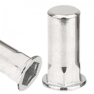 Half-Hexagon Rivet Nut Reduced Head Closed End SS 304
