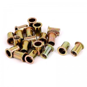 High Strength Grade 4 8 10 12 Steel Color Yellow Zinc Plated DIN7340 Rivet Nuts