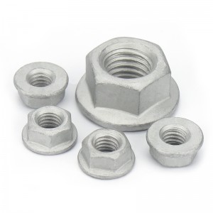 Hoë sterkte Graad 4 8 10 12 Staal Dacromet DIN6923 Hex -flensmoere