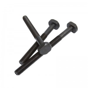 Grade à haute résistance 4,8 8,8 10,9 12,9 Boulons de l'oxyde noir186 T