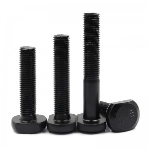 חוזק גבוה דרגה 4.8 8.8 10.9 12.9 Black Oxide DIN186 T Bolts