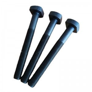 Grade à haute résistance 4,8 8,8 10,9 12,9 Boulons de l'oxyde noir186 T