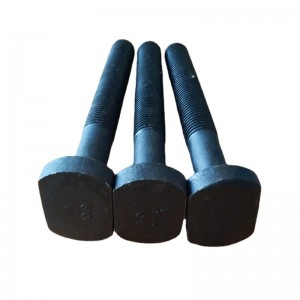 Grade à haute résistance 4,8 8,8 10,9 12,9 Boulons de l'oxyde noir186 T