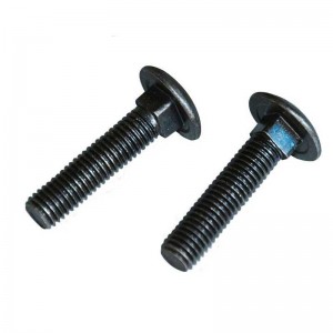 High Strength Grade 4.8 8.8 10.9 12.9 Black Oxide DIN603 Carriage Bolts