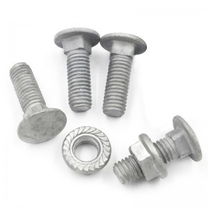 High Strength Grade 4.8 8.8 10.9 12.9 Hot Dip Galvanized HDG DIN603 Carriage Bolts