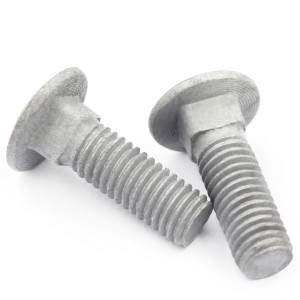 High Strength Grade 4.8 8.8 10.9 12.9 Hot Dip Galvanized HDG DIN603 Carriage Bolts