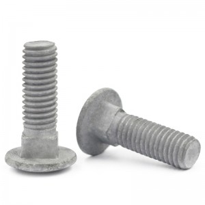 High Strength Grade 4.8 8.8 10.9 12.9 Hot Dip Galvanized HDG DIN603 Carriage Bolts