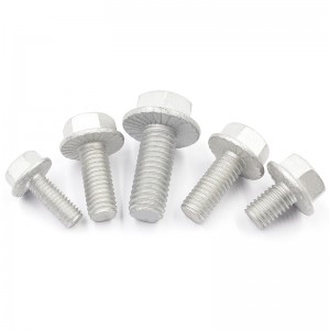 High Strength Grade 4.8 8.8 10.9 12.9 Hot Dip Galvanized HDG DIN6921 Flange Bolts