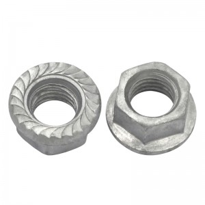 High Strength Grade 4.8 8.8 10.9 12.9 Hot Dip Galvanized HDG DIN6921 Flange Bolts