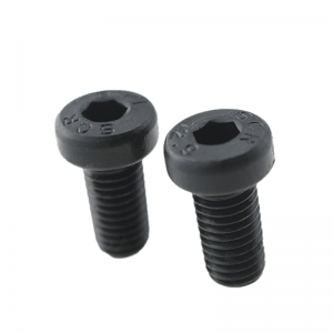 High Strength Grade 4.8 8.8 10.9 12.9 Steel Black Oxide DIN7984 Low Head Hex Socket Bolts