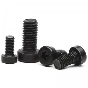 High Strength Grade 4.8 8.8 10.9 12.9 Steel Black Oxide DIN7984 Low Head Hex Socket Bolts