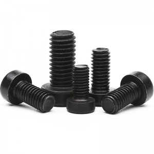 High Strength Grade 4.8 8.8 10.9 12.9 Steel Black Oxide DIN7984 Low Head Hex Socket Bolts