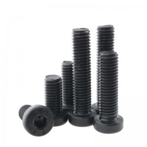 Βαθμός υψηλής αντοχής 4.8 8.8 10.9 12.9 Steel Black Oxide DIN7984 Hex Socket Bots Low Head