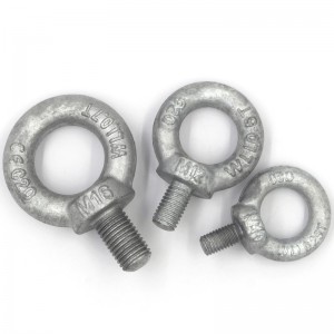 High Strength Grade 4.8 8.8 10.9 12.9 Steel Hot Dip Galvanized HDG DIN580 Eye Bolts