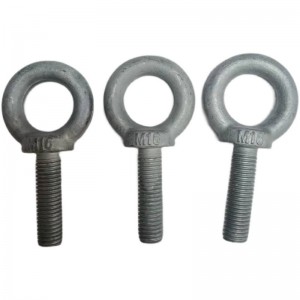 High Strength Grade 4.8 8.8 10.9 12.9 Steel Hot Dip Galvanized HDG DIN580 Eye Bolts