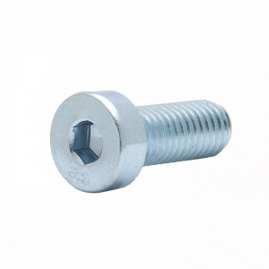 High Strength Grade 4.8 8.8 10.9 12.9 Steel Galvanized White Blue Zinc Plated DIN7984 Low Head Hex Socket Bolts