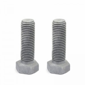 Alta resistência grau 8.8 10,9 12,9 aço DIN931 DIN933 Hot Dip galvanizado parafusos hexáticos de HDG