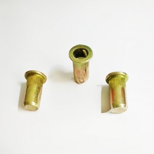 Rivet Nuts Closed End
