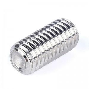 Vlekvrye staal A2-70 A4-80 DIN916 SET BOLT