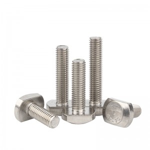 Stainless Steel A2-70 A4-80 SS201 SS304 SS316 DIN186 T Bolts