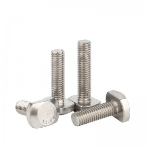 Stainless Steel A2-70 A4-80 SS201 SS304 SS316 DIN186 T Bolts