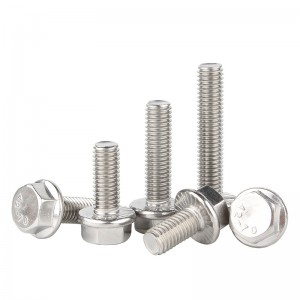 Stainless Steel A2-70 A4-80 SS201 SS304 SS316 DIN6921 Flange Bolts