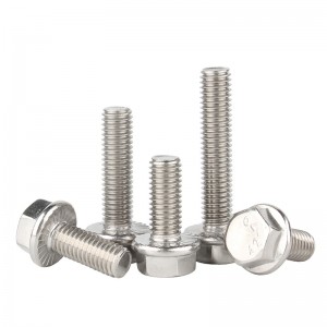 Stainless Steel A2-70 A4-80 SS201 SS304 SS316 DIN6921 Flange Bolts