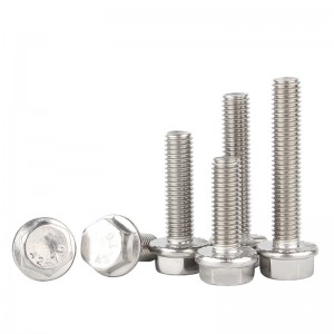 Stainless Steel A2-70 A4-80 SS201 SS304 SS316 DIN6921 Flange Bolts