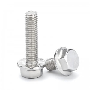 Stainless Steel A2-70 A4-80 SS201 SS304 SS316 DIN6921 Flange Bolts