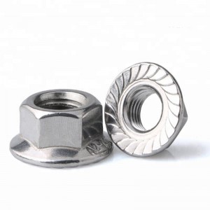 Stainless Steel A2-70 A4-80 SS201 SS304 SS316 DIN6923 Hex Flange Nuts