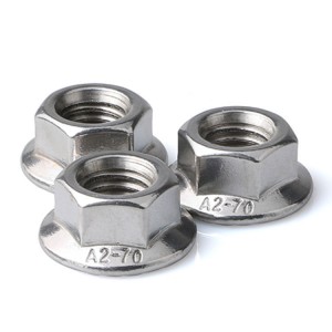 Stainless Steel A2-70 A4-80 SS201 SS304 SS316 DIN6923 Hex Flange Nuts