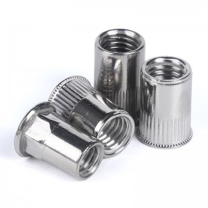 Stainless Steel A2-70 A4-80 SS201 SS304 SS316 DIN7340 Rivet Nuts