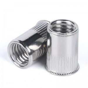 Stainless Steel A2-70 A4-80 SS201 SS304 SS316 DIN7340 Rivet Nuts