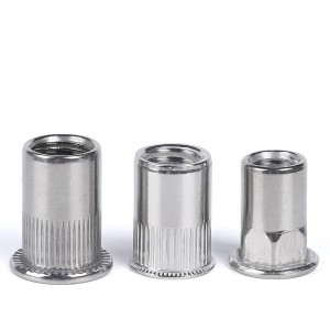 Stainless Steel A2-70 A4-80 SS201 SS304 SS316 DIN7340 Rivet Nuts